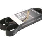 DAY8PK1655HD Pasek wielorowkowy DAYCO