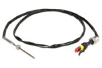 DIN22041 Czujnik temperatury spalin DINEX