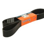 DAY12PK2500HD Pasek wielorowkowy DAYCO