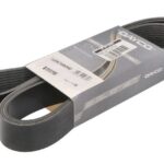 DAY10PK1960HD Pasek wielorowkowy DAYCO
