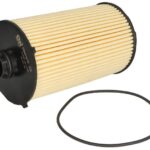2996570-FPT Filtr oleju FPT