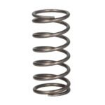 4.70100 Sprężyna zaworu DT SPARE PARTS