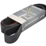 DAY10PK1705HD Pasek wielorowkowy DAYCO