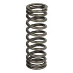 2113122-IPD Sprężyna zaworu IPD PARTS