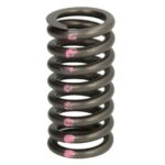 4N5906-IPD Sprężyna zaworu IPD PARTS