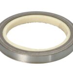 CO19037295B Uszczelniacz piasty CORTECO