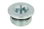 125280-CR Korek spustowy dyferencjału CARRARO
