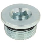 125280-CR Korek spustowy dyferencjału CARRARO