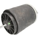 1 DF 20 G-4 Miech zawieszenia pneumatycznego PHOENIX