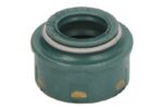 70-27506-00 Uszczelniacz trzonka zaworu REINZ