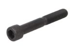 0636101231ZF Śruba skrzyni biegów ZF