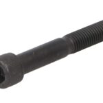 0636101231ZF Śruba skrzyni biegów ZF