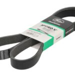 GAT8PK1625HD Pasek wielorowkowy GATES