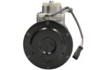 DCP99810 Kompresor klimatyzacji DENSO - obrazek 2