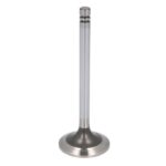 1487455-IPD Zawór silnikowy IPD PARTS