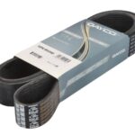 DAY10PK1850HD Pasek wielorowkowy DAYCO