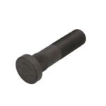 FE15341 Śruby, nakrętki, szpilki FEBI BILSTEIN