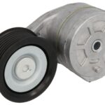VKMCV 56005 Napinacz paska wielorowkowego SKF
