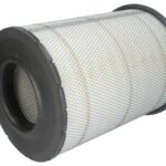 AF25631 Filtr powietrza FLEETGUARD