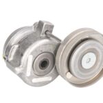 VKMCV 52001 Napinacz paska wielorowkowego SKF