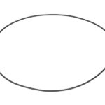0634314438ZF Oring skrzyni biegów ZF