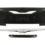 MAN-FP-026 Atrapa PACOL
