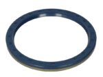 CO12015499B Uszczelniacz piasty CORTECO