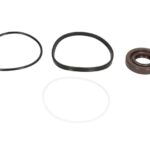 2.95120 Zestaw naprawczy pompy wspomagania DT SPARE PARTS