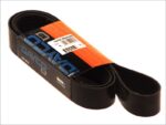 DAY10PK1690HD Pasek wielorowkowy DAYCO