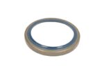 CO12006462B Uszczelniacz piasty CORTECO