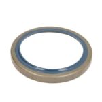 CO12006462B Uszczelniacz piasty CORTECO