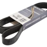 DAY8PK2055HD Pasek wielorowkowy DAYCO