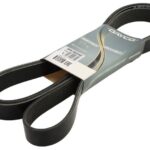 DAY8PK2622HD Pasek wielorowkowy DAYCO
