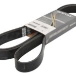 DAY8PK2482HD Pasek wielorowkowy DAYCO