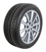 265/50R19 LTGO 110Y F1A2N Opony osobowe, SUV/4x4 GOODYEAR - obrazek 2