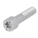 1.18940 Śruba mocująca tarczy hamulcowej DT SPARE PARTS