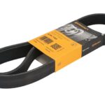 8 PK 1183 Pasek wielorowkowy CONTITECH