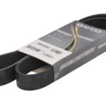 DAY8PK1240HD Pasek wielorowkowy DAYCO