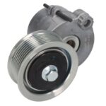 VKMCV 51035 Napinacz paska wielorowkowego SKF