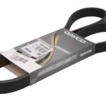DAY6PK1485HD Pasek wielorowkowy DAYCO