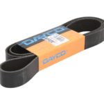 DAY10PK1950HD Pasek wielorowkowy DAYCO