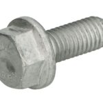 16673635-FPT Śruba FPT