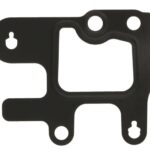 LE24805.58 Uszczelka termostatu LEMA