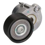 VKMCV 51007 Napinacz paska wielorowkowego SKF