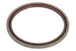 CO12020001B Uszczelniacz piasty CORTECO