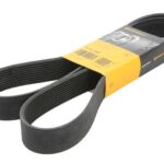 10 PK 1580 Pasek wielorowkowy CONTITECH