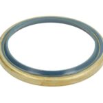CO12006467B Uszczelniacz piasty CORTECO