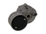 VKMCV 53011 Napinacz paska wielorowkowego SKF