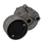 VKMCV 53011 Napinacz paska wielorowkowego SKF