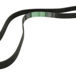 1002651AP Pasek wielorowkowy OPTIBELT